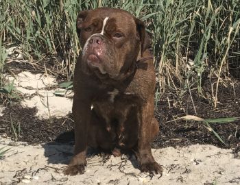 CLICK HERE TO SEE MORE OF LUCY!
