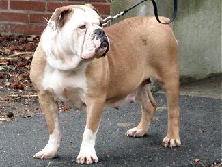 CLICK FOR LARGER VIEW