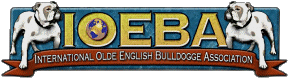 CLICK HERE TO VISIT THE INTERNATIONAL OLDE ENGLISH BULLDOGGE ASSOCIATION